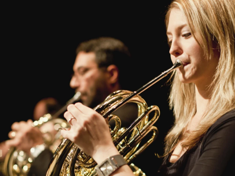 French horn players performing in an orchestra